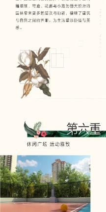 爱吃叶子的毛毛虫